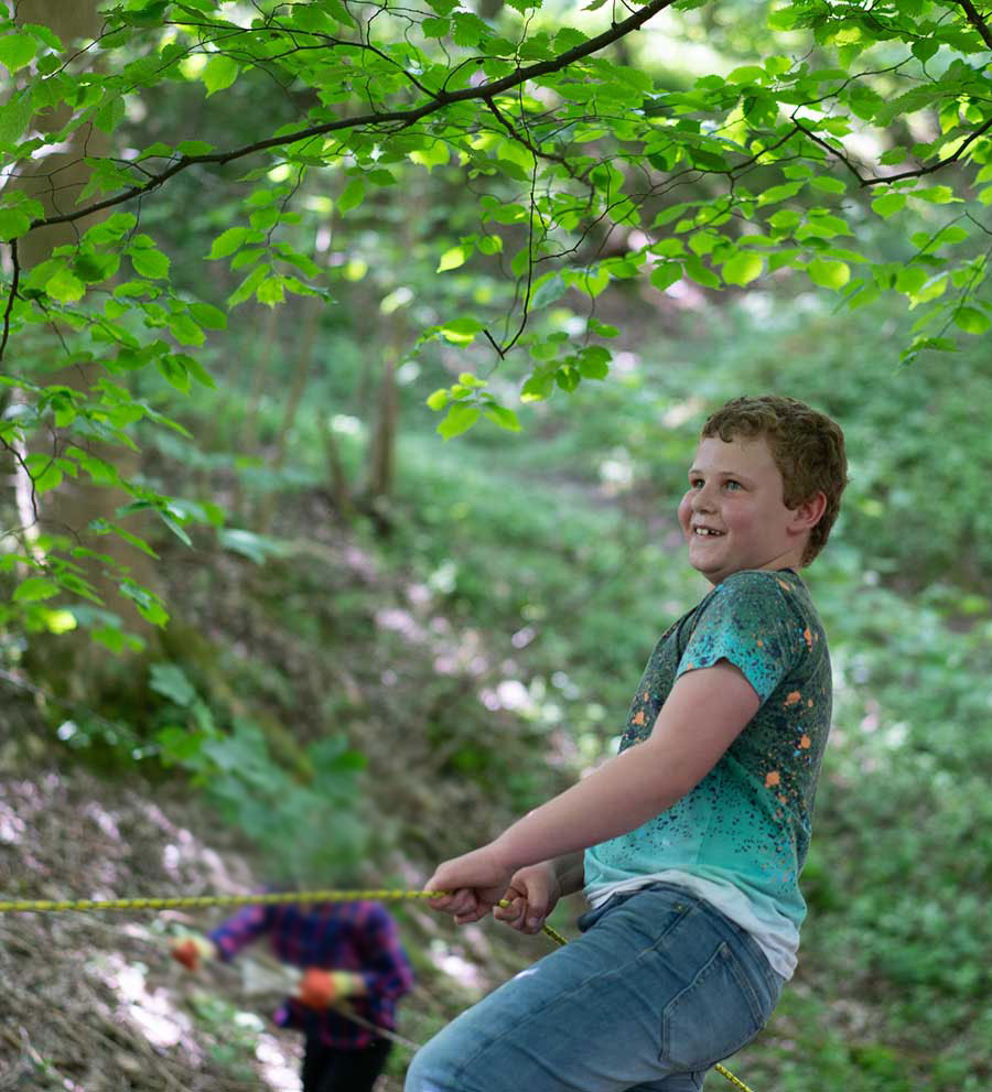 Forest-227-blurry2